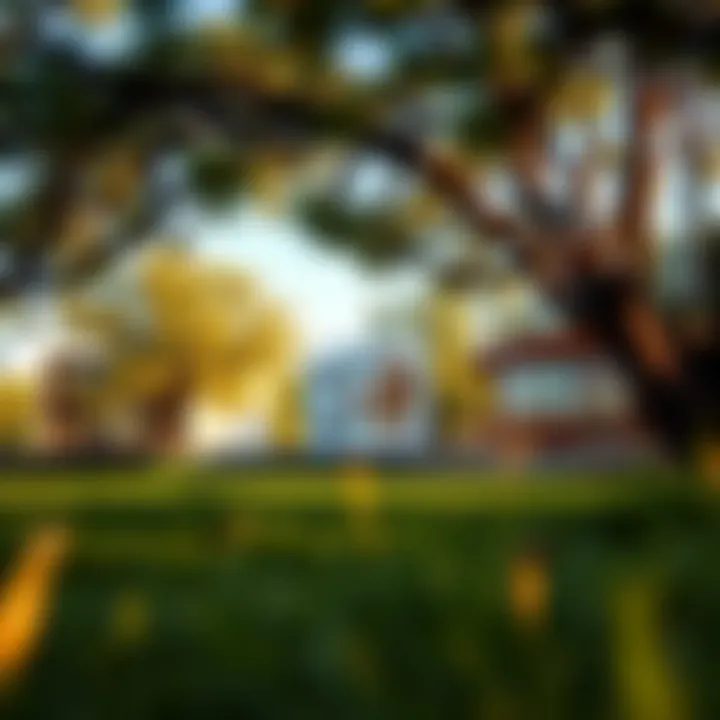 A serene oak landscape interspersed with gaming elements